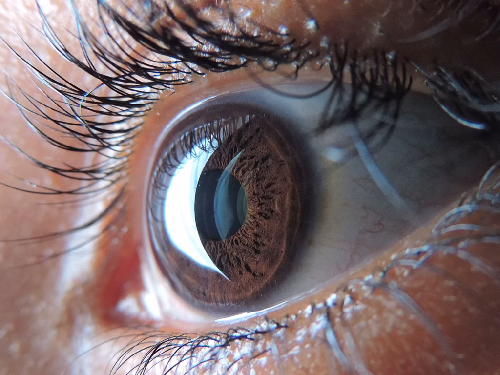 Gros plan sur un œil - Vision latérale
